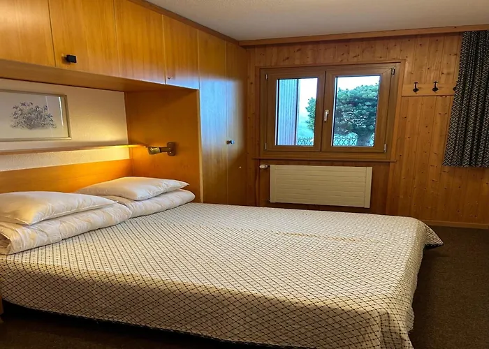 With Nendaz View * ヴェゾナ