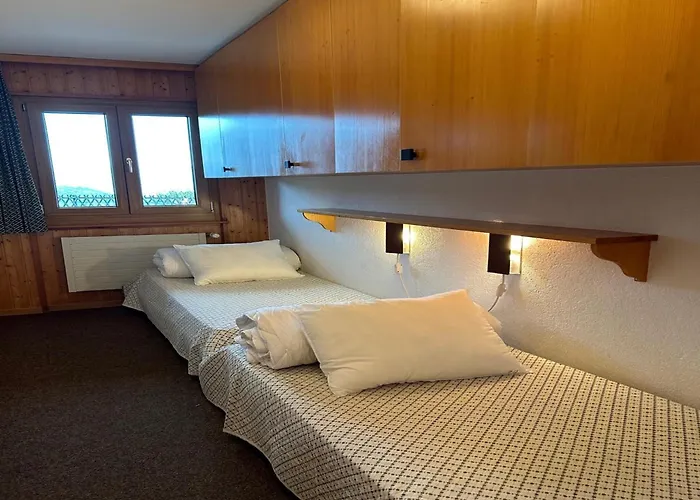 Apartament With Nendaz View