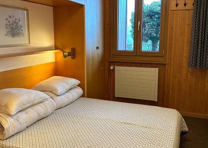 With Nendaz View Veysonnaz